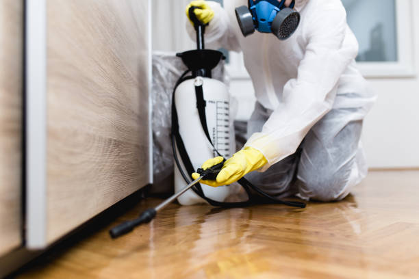 Best Pest Prevention Services  in North Beach Haven, NJ