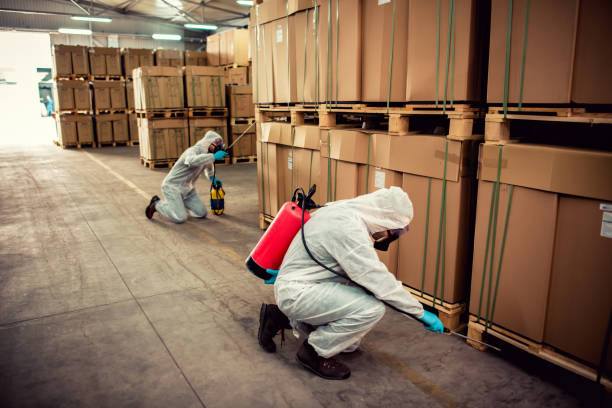 Best Rat Extermination Near Me  in North Beach Haven, NJ
