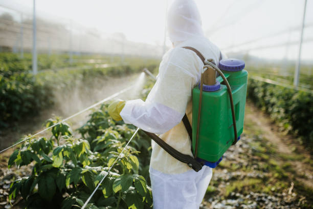 Best Emergency Pest Control  in North Beach Haven, NJ